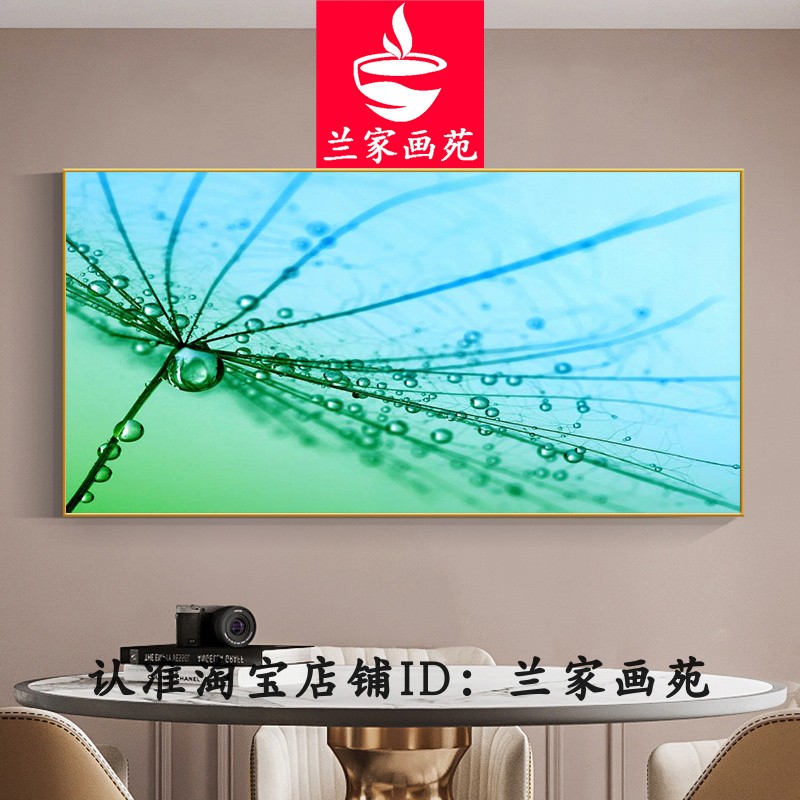 客厅沙发电视墙轻奢装饰画晶瓷画极简床头画唯美透明花卉抽象挂画