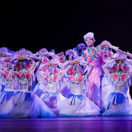 中国舞蹈荷花奖云上女士羌族舞台表演演出服装成人少数民族大摆裙