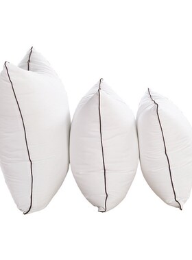 舒适午睡方形抱枕芯35x45x50x55x60白色可机洗沙发客厅靠枕芯车用