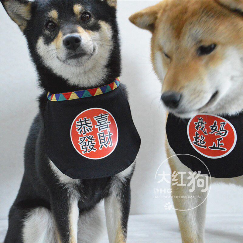 萌到爆 日系柴犬用品方巾猫咪柴个性口水巾潮牌围巾三角巾个性签