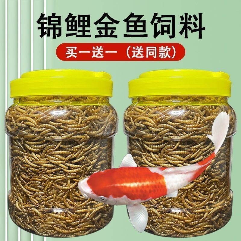 锦鲤饲料增色雷龙鱼食料观赏鱼增体猛长增肥高蛋白面包虫干