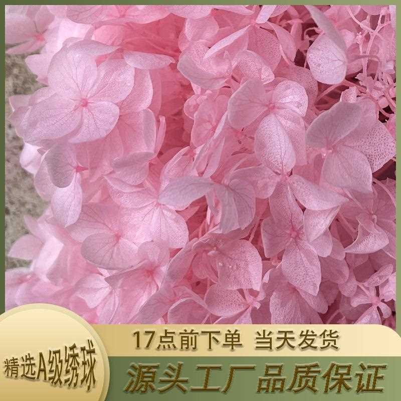 直销新款跨境520礼物永生花安娜绣球新娘头饰花diy手工花材料包装