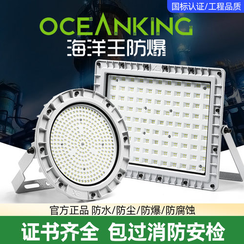 100W防爆灯户外投光灯加油站厂房
