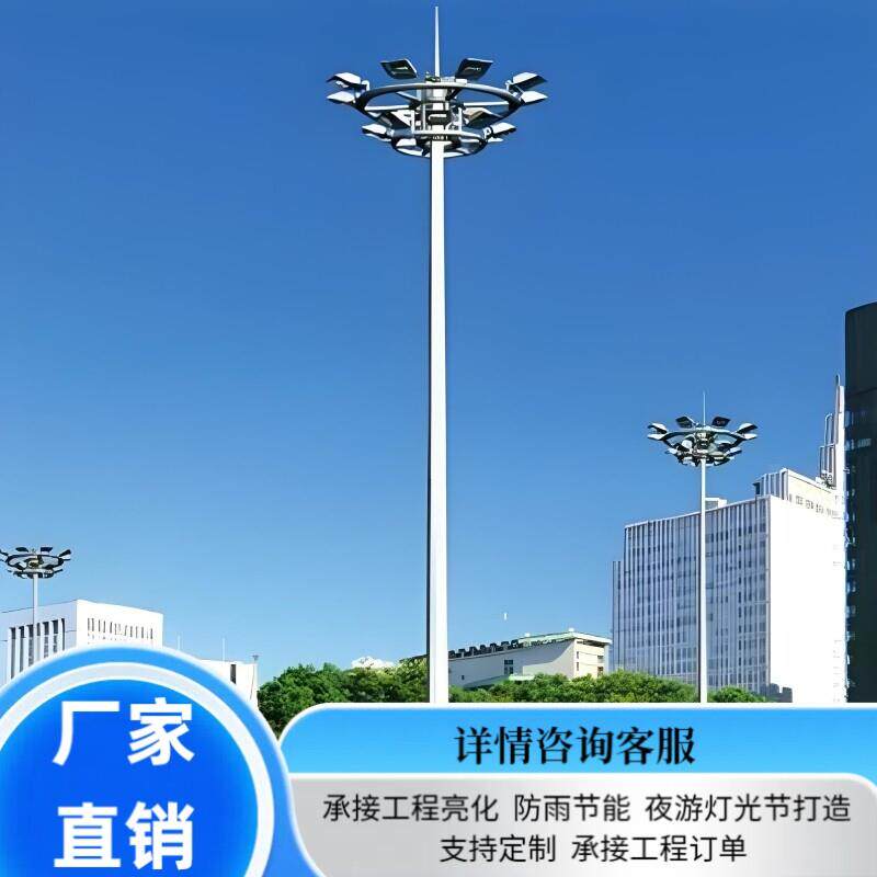 球场专用太阳能杆灯6米8米10米LED双头路灯户外高杆灯篮球场灯杆