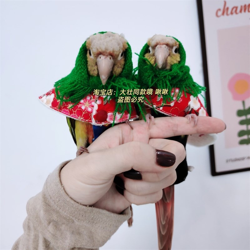 鸡妈妈款鸟衣服鹦鹉披风玄凤加厚保暖外出服鹦鹉用品鸟用品