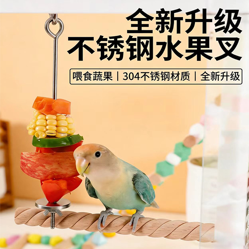 不锈钢鹦鹉水果叉蔬菜挂钩 水果叉架金刚虎皮鸟笼喂食玩具