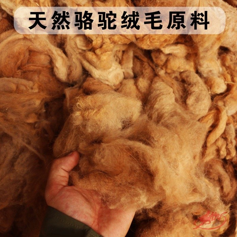 阿拉善双a峰驼沙漠王优质天然驼绒毛原料保暖被填充物500克