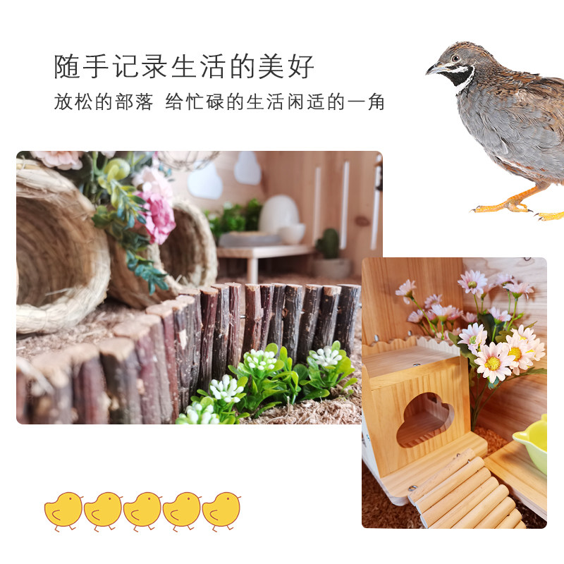 芦丁鸡宠物饲养箱全套四层笼子家用芦丁鸡宠物Q专用饲养箱全景房