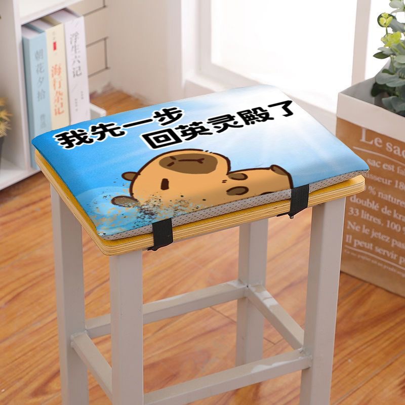 卡皮巴拉学生坐垫教室方形椅垫课桌G椅垫防滑地垫加厚加高屁垫