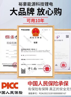 宁德磷酸铁锂电池48V60V72V大单体新能源三四轮车专用大容量锂电