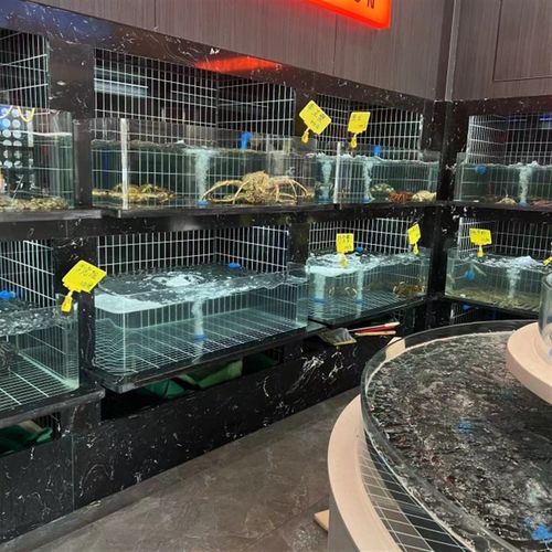 海鲜缸酒店固定缸饭店海鲜池商用超市贝类缸海鲜鱼缸异型缸静音