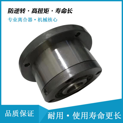 滚柱式RINGSPANN超越离合器国产GFR55R A2A7减速机R308TS-18IIIR