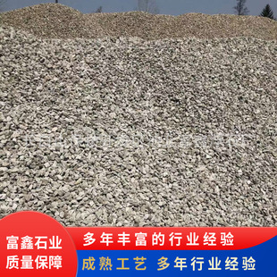 轻石颗粒浮石多种规格用园林植物园艺造景多孔水质过滤厂家批发