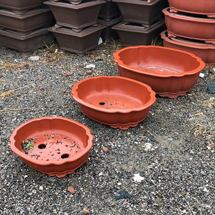 宜兴紫砂花盆海棠一米椭圆形80公分特大号盆景树桩庭院地面古典