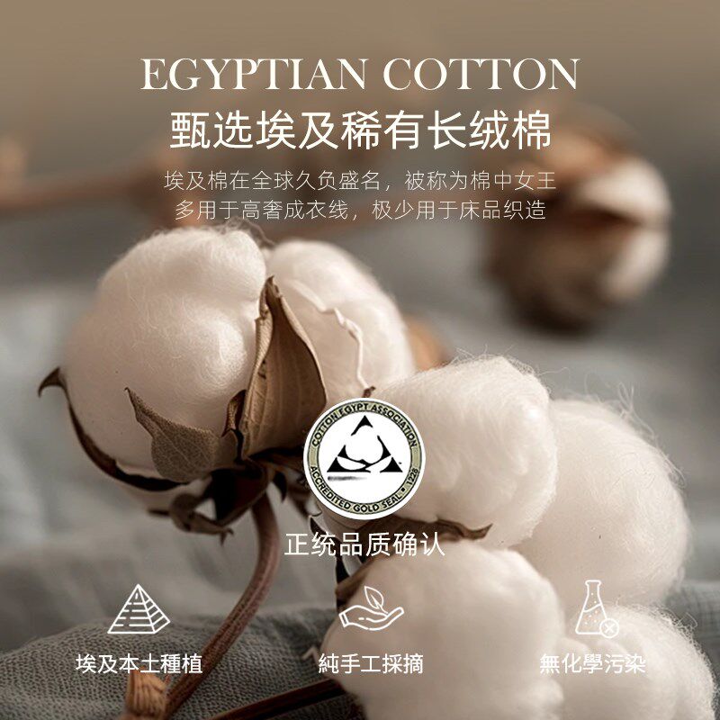 斯得福儿童枕套枕头套60S全棉学生宝宝枕芯套卡通可爱纯棉透气