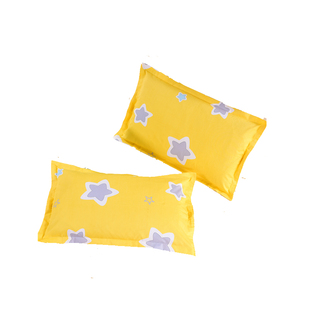 枕套一对装 60X90全棉单人48X74纯棉40X60加大号枕头套50cmx80cm