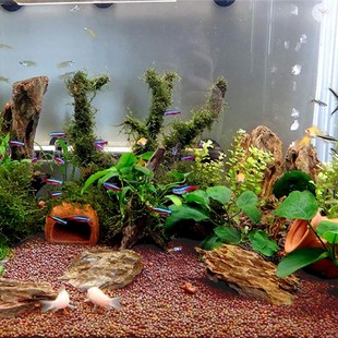 陶粒砂鱼缸陶粒砂底砂草缸底砂水草泥造景水族底床基肥鱼缸陶瓷沙