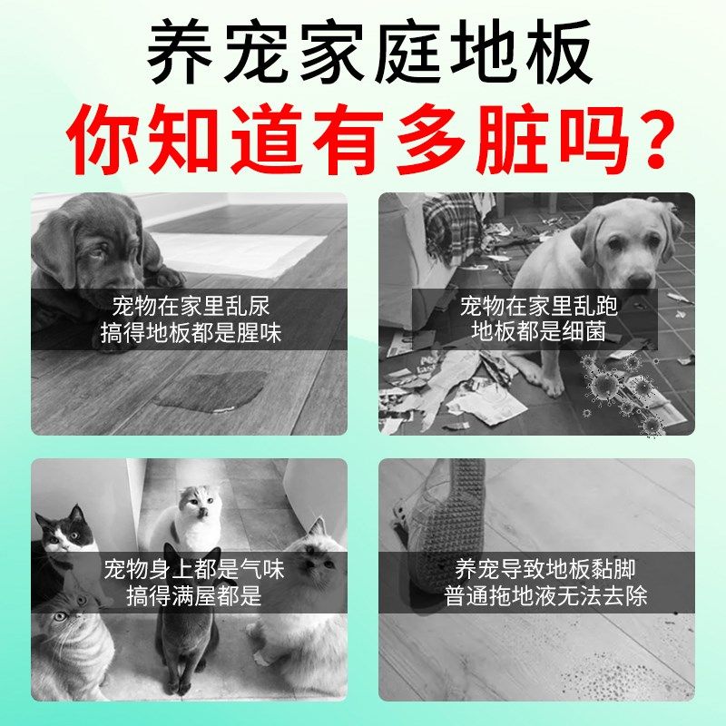 宠物地板清洁剂家用拖地专用狗狗除臭去尿味杀菌猫狗尿除味消毒,宠物/宠物食品及用品,猫狗环境除臭/除菌剂,淘宝优惠券,粉丝福利购,淘宝优惠卷