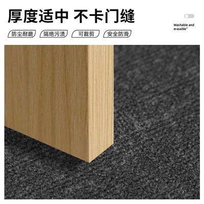 入户门地垫进门口入门2024新款耐脏免洗可擦玄关门外蹭脚垫高级感