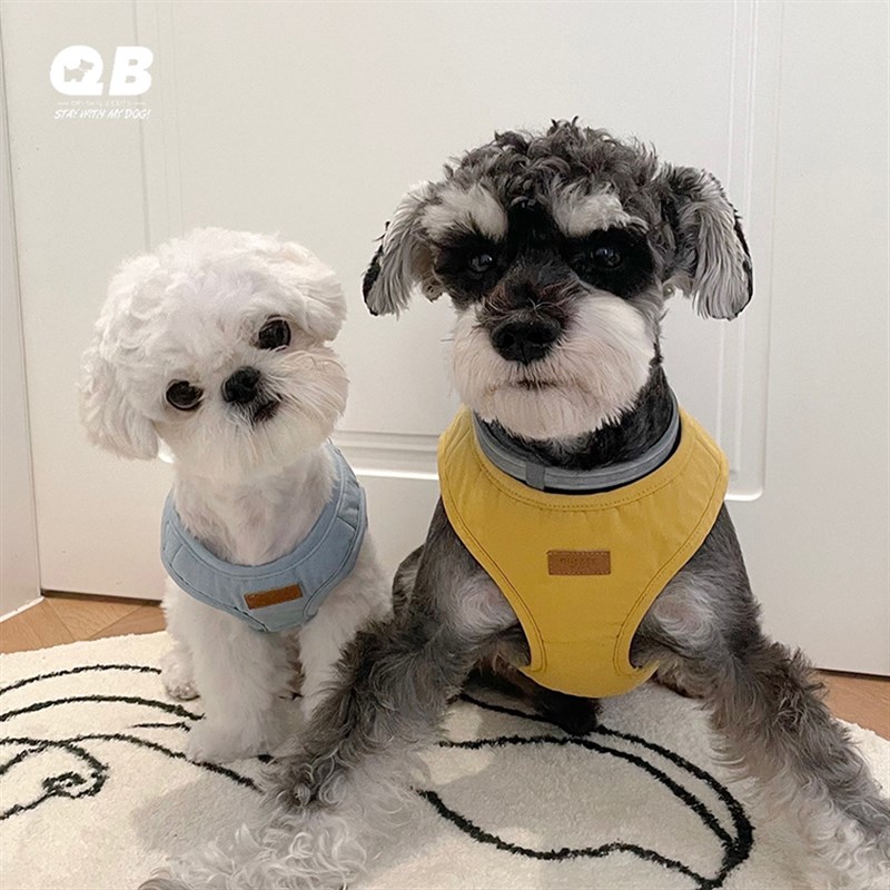 QB雪纳瑞泰迪比熊法斗遛狗绳小型犬狗狗背心式胸背带牵引绳套装