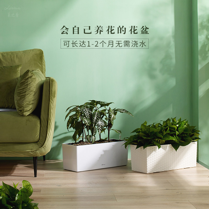 简约北欧仿陶瓷栏杆花盆阳台壁挂懒人塑料盆大号家用悬挂花盆挂式,鲜花速递/花卉仿真/绿植园艺,花盆,淘宝优惠券,粉丝福利购,淘宝优惠卷
