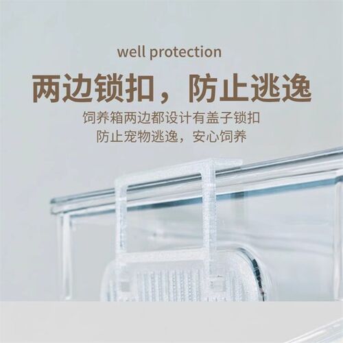独角仙饲养盒甲虫饲养箱甲虫饲养盒独角仙饲养箱套装锹甲饲养盒