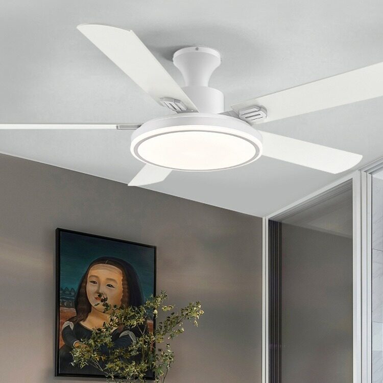 风扇灯客厅家用餐厅吊扇灯带灯电风扇吊灯灯扇一体两用2025年新款