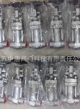 WZ61W-16P/RL不锈钢波纹管承插焊闸阀 锻钢波纹管闸阀 F304/F316L