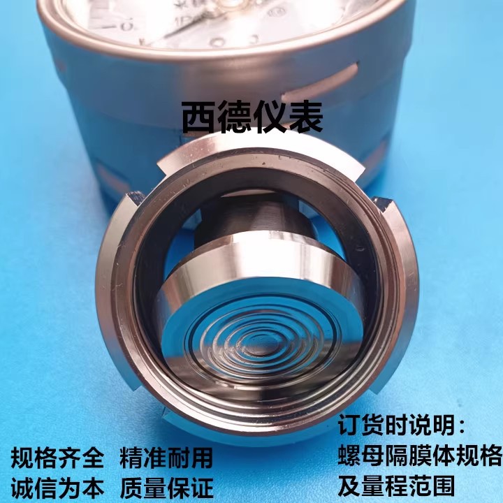 100MM径向全不锈钢卫生级隔膜表