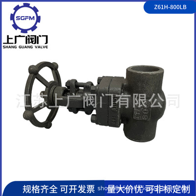 A105锻钢闸阀 承插焊锻钢闸阀Z61H-600LB 锻钢焊接闸阀Z61H-800LB