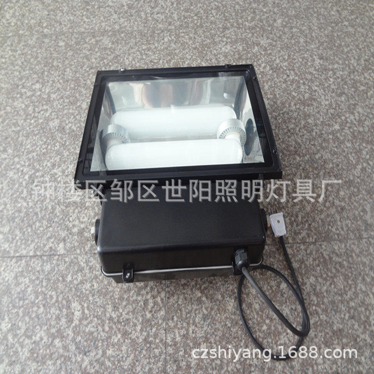高低频无极灯灯具灯具配件灯罩无极灯泛光灯集装箱整柜直销