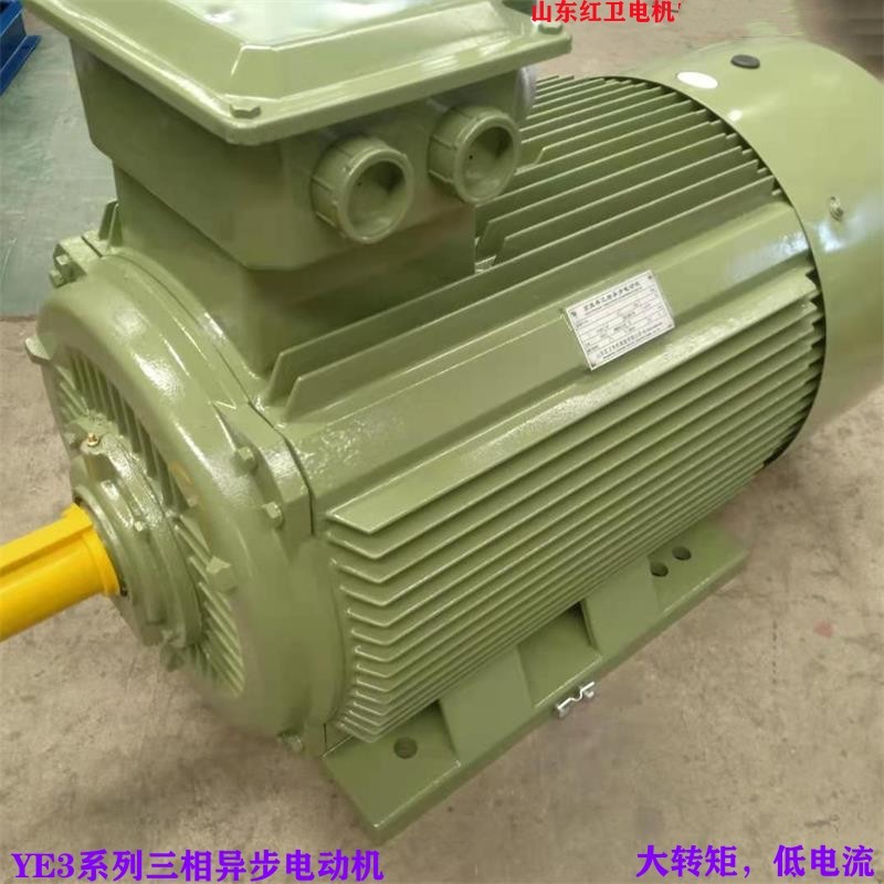 山东源头厂家直供YE3-200L-4/30KW YE3系列三相异步电机 质量保障