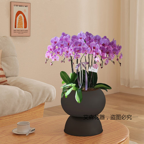 财源滚滚蝴蝶兰盆铁艺花盆花器金属冬青银柳盆器仿真花新中式摆件