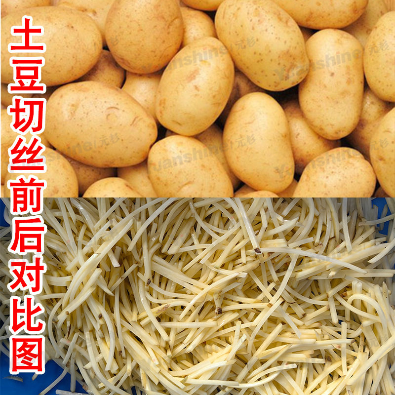 全自动商用厨房切菜机 韭菜豆角切丁机 白菜大头菜切丝机