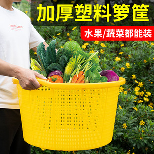 大号加厚塑料箩筐蔬菜水果筐物流周转镂空海鲜箱服装 杂物筐小龙虾