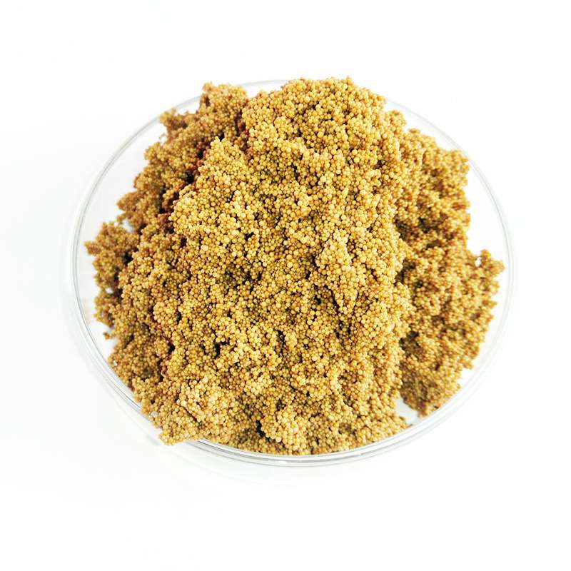 ASD-105大孔吸附树脂降COD树脂工业废水脱色大孔吸附树脂