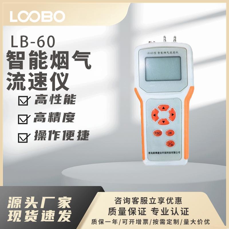 烟气流速监测仪 智能气体流速仪LB-60型 烟气管道烟气流速测试仪
