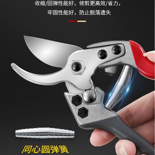 果树修枝剪树枝专用剪子剪枝园林工具花剪修剪花艺花卉剪园艺剪刀
