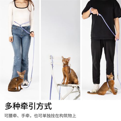 BuddyArmor宠物超轻牵引绳可调节遛猫绳多功能设计轻便狗链外出使