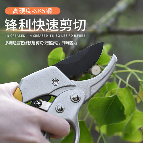 省力果树修枝剪刀专业园艺修剪树枝园林修花枝剪粗枝剪子SK-5钢片