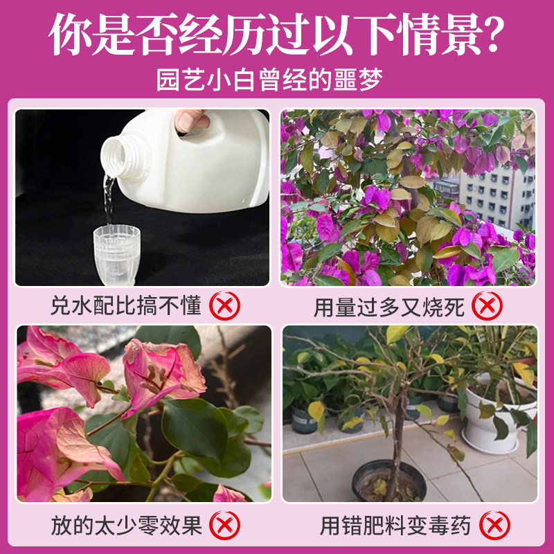 免稀释三角梅专用营养液肥料开花专用肥促花爆花冒花肥黄叶营养肥