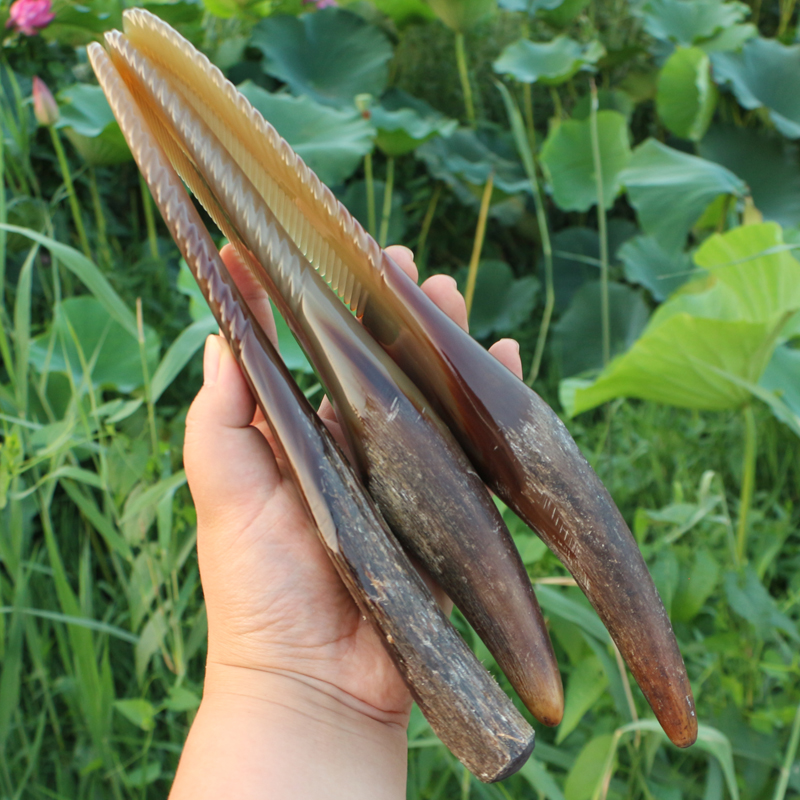 天然白牛角按摩梳子防静电密细齿珍藏版自然手柄养发梳 长22~30CM