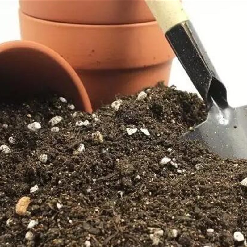 营养土种植土通用型绿萝多肉养花专用椰砖花土有机土花泥土壤肥料