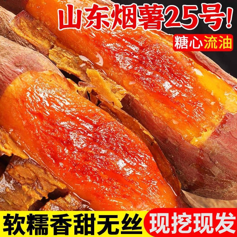 【原产地直发】山东现挖烟薯25号