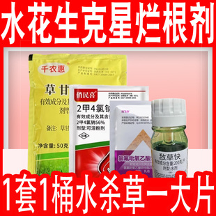 水花生克星烂根剂水花生专杀套装空心莲子草灭草剂死草烂根正品药