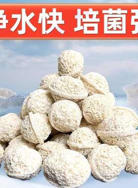 鱼缸核桃滤净水陶细性菌屋过滤材LZI料水族箱培菌瓷环活炭材火山