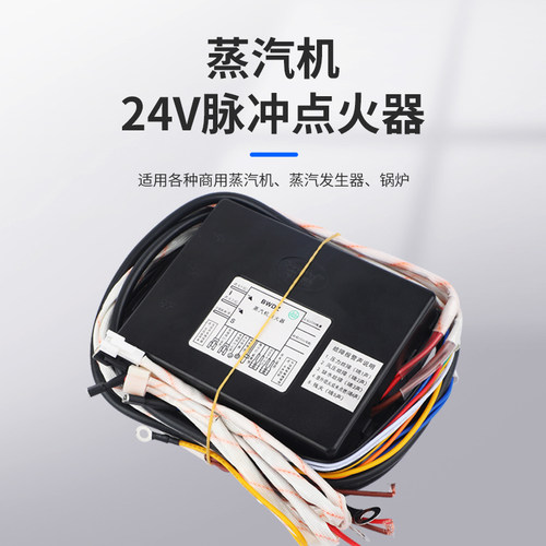 蒸汽发生器本威24V双阀脉冲点火器 商用蒸柜蒸炉蒸汽机通用控制器