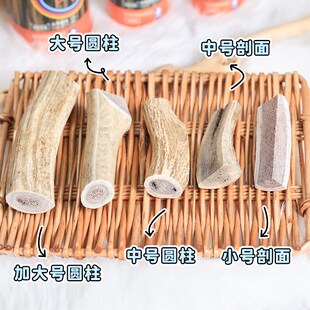 吉辛鹿角磨牙棒狗狗天然磨牙骨幼犬小型犬中型犬大型犬狗磨牙零食