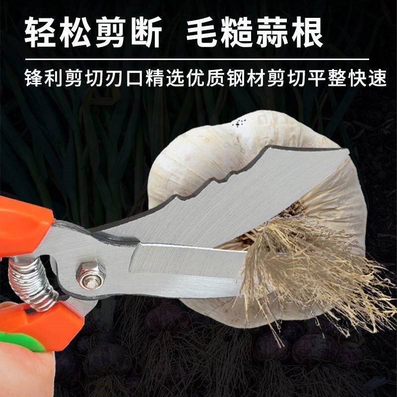 热销大蒜专用剪刀剪蒜须杆洋葱剪子园艺剪修蒜根神器剪蒜头切蒜根