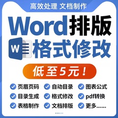 word排版处理文档编辑转换修改格式pdf调整美化代做制作wps表格图